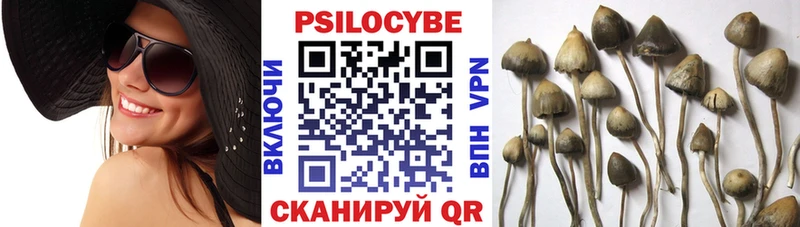 купить наркотики сайты  Голицыно  Псилоцибиновые грибы прущие грибы 